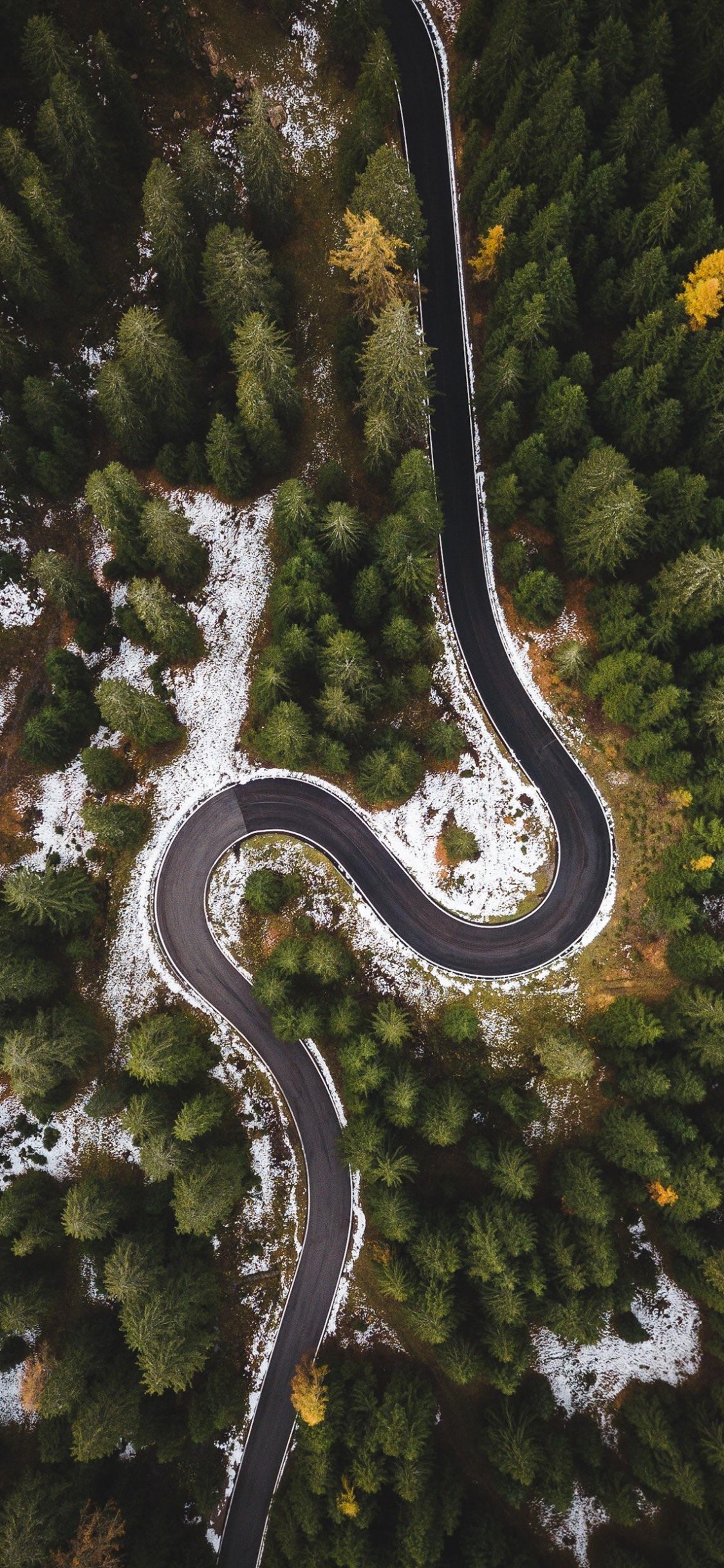 Обои с высоты птичьего полета, растение, вода, наземное растение, дерево в разрешении 1125x2436