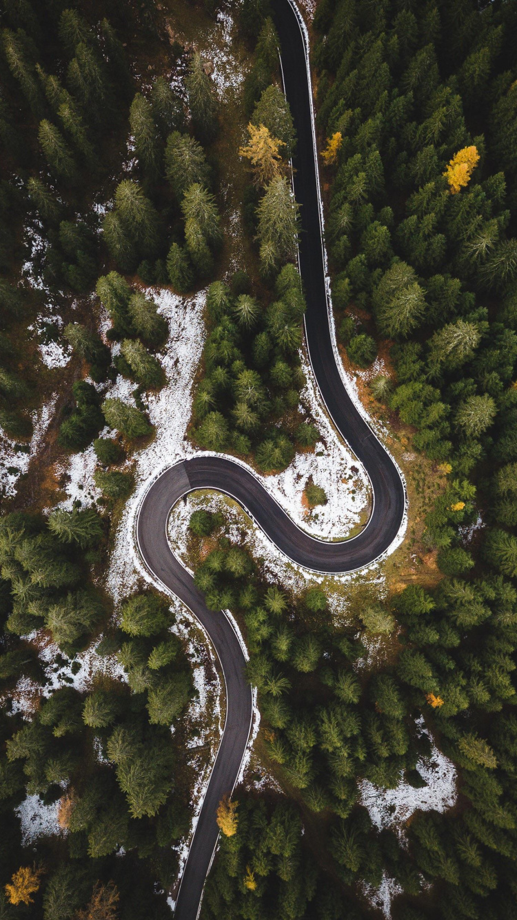 Обои с высоты птичьего полета, растение, вода, наземное растение, дерево в разрешении 750x1334