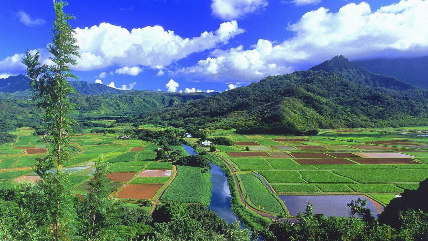 Обои Реки Ханалеи, ханалеи, нагорье, горная станция, рисовое поле в разрешении 1366x768