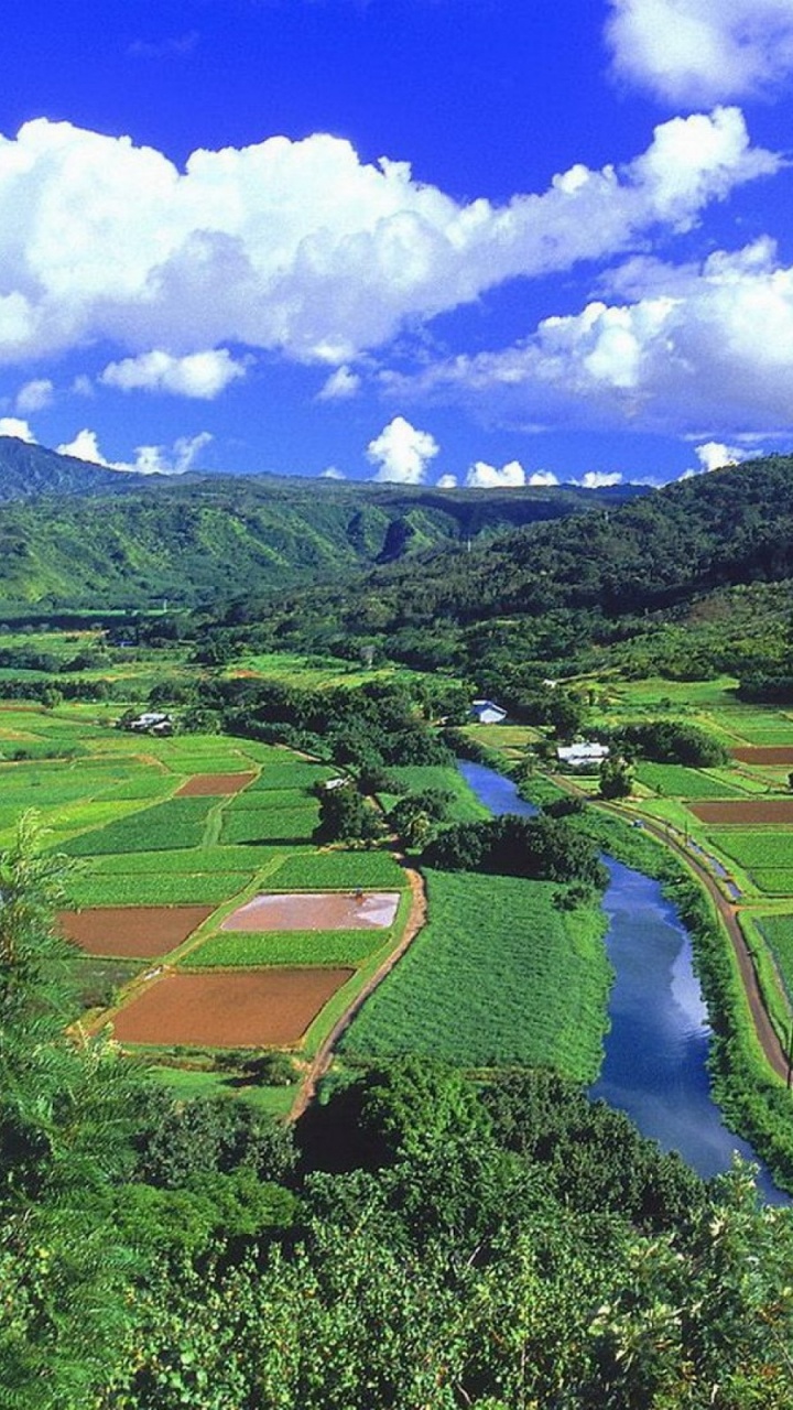 Обои Реки Ханалеи, ханалеи, нагорье, горная станция, рисовое поле в разрешении 720x1280
