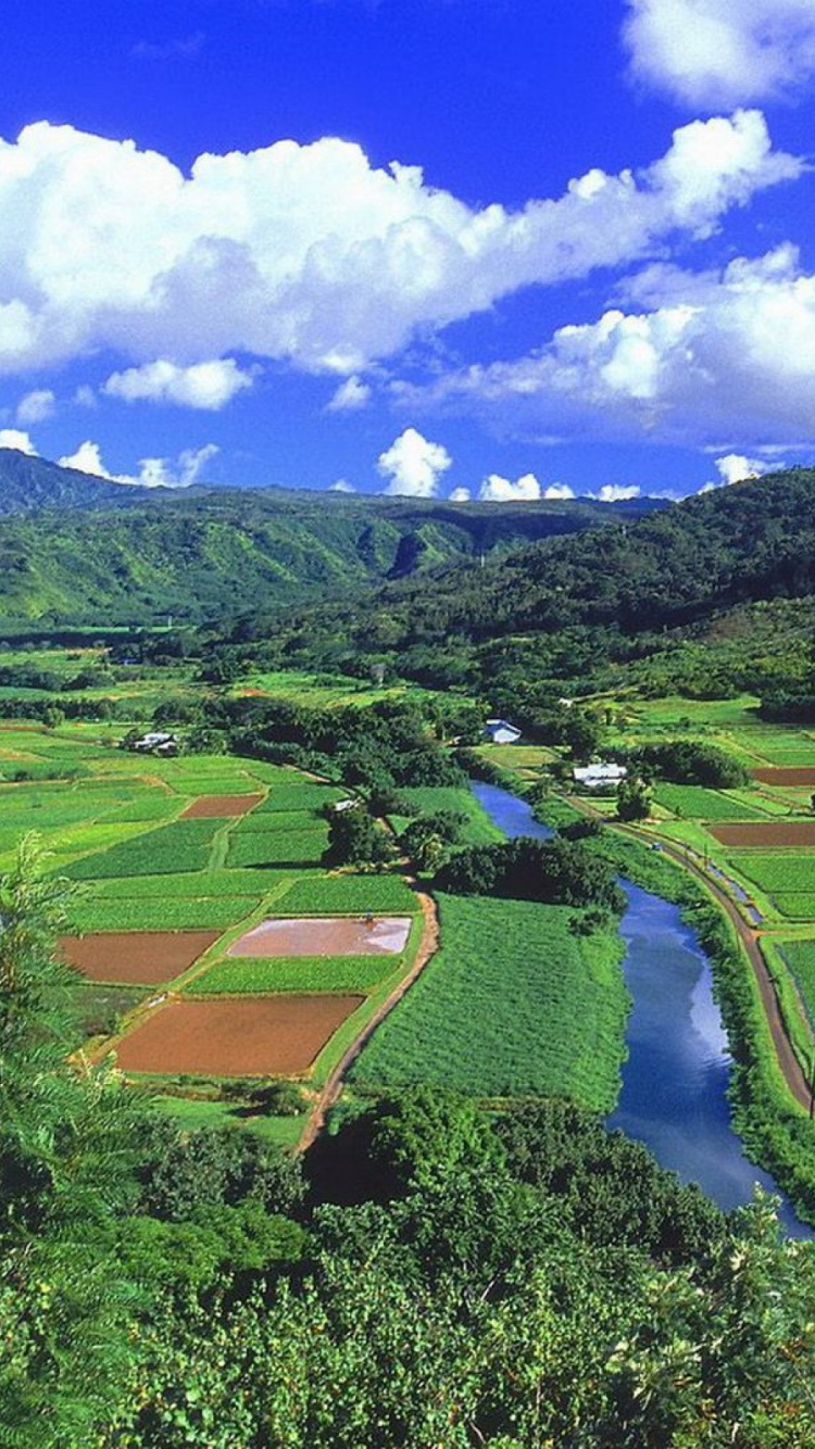 Обои Реки Ханалеи, ханалеи, нагорье, горная станция, рисовое поле в разрешении 750x1334