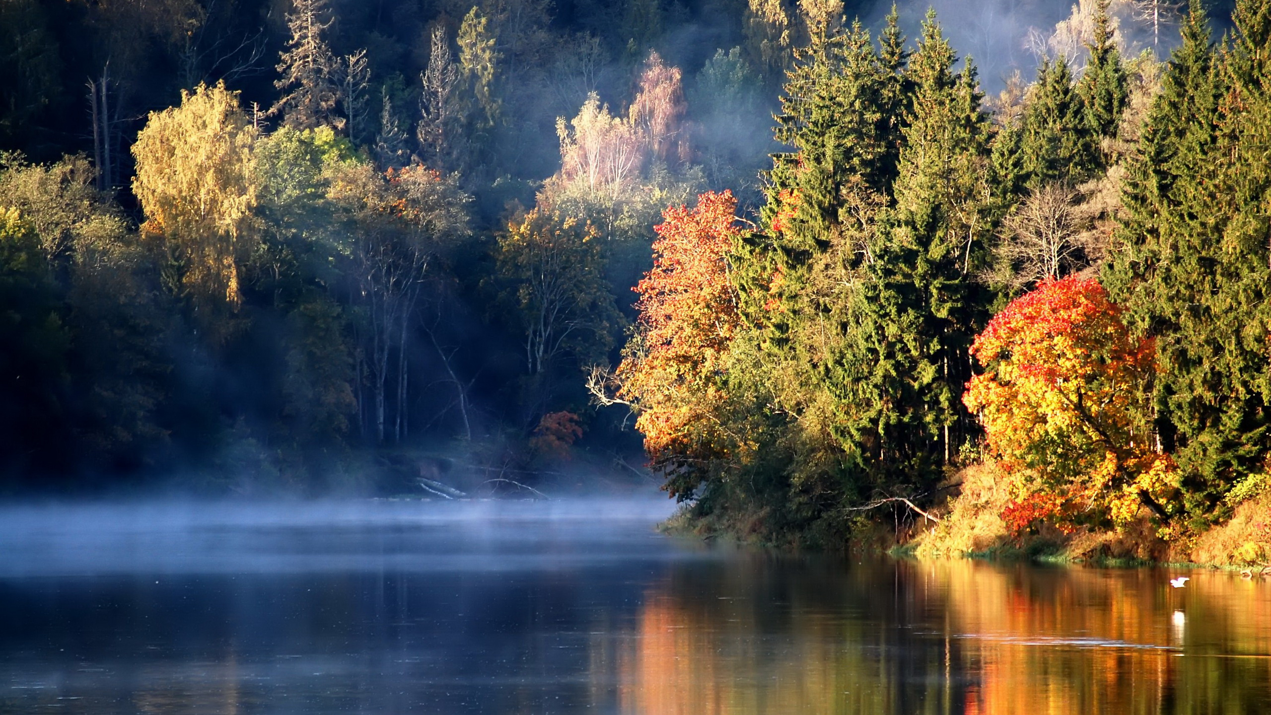 Обои осень, озеро, природа, отражение, вода в разрешении 2560x1440