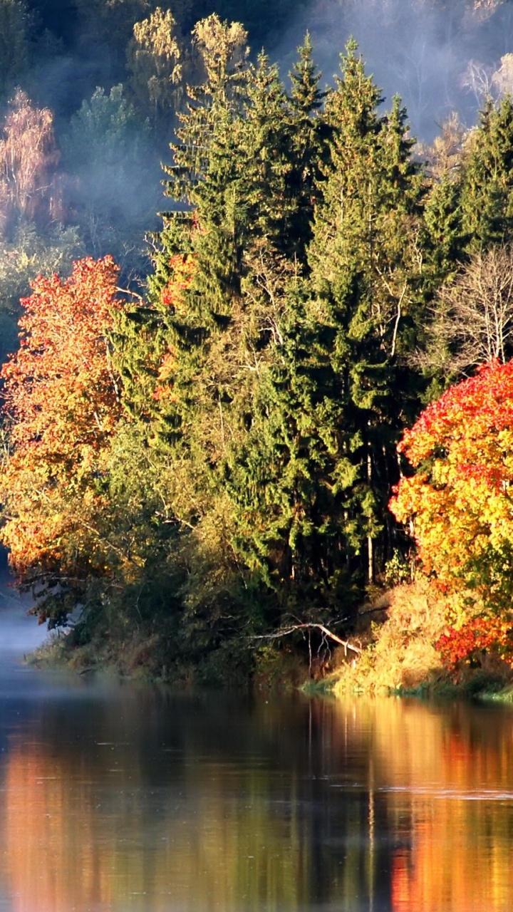Обои осень, озеро, природа, отражение, вода в разрешении 720x1280
