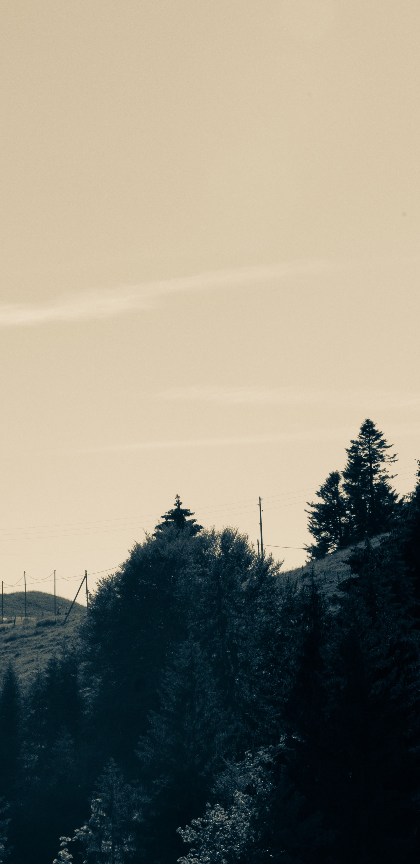 Обои зима, гора, дикая местность, утро, черный в разрешении 1440x2960