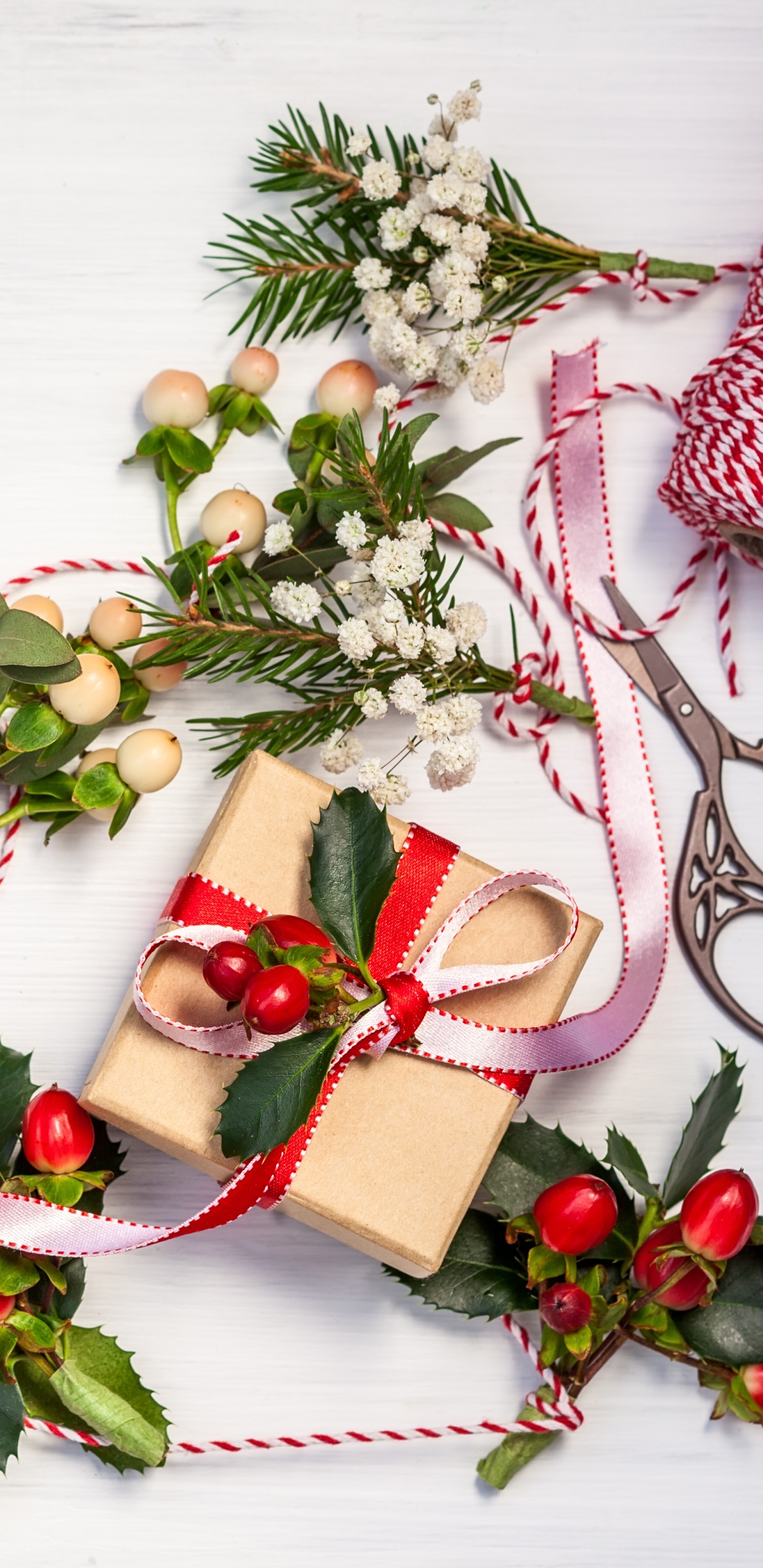 Обои Новый год, Рождественский день, падуб, Рождественские украшения, цветок в разрешении 1440x2960