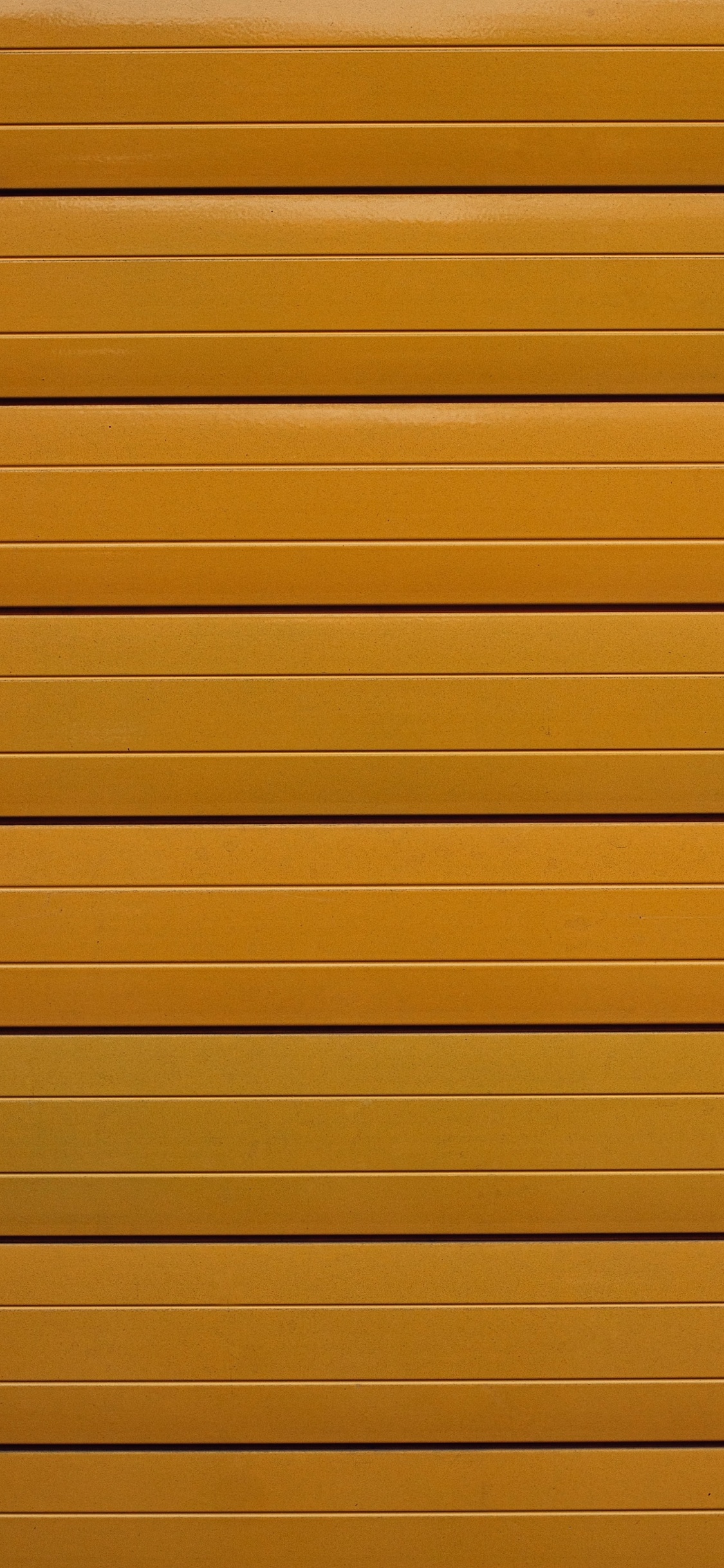 Обои морилка, параллель, линия, древесина, желтый в разрешении 1125x2436