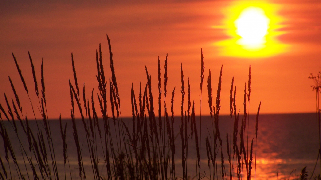Обои закат, восход солнца, солнце, послесвечение, горизонт в разрешении 1366x768