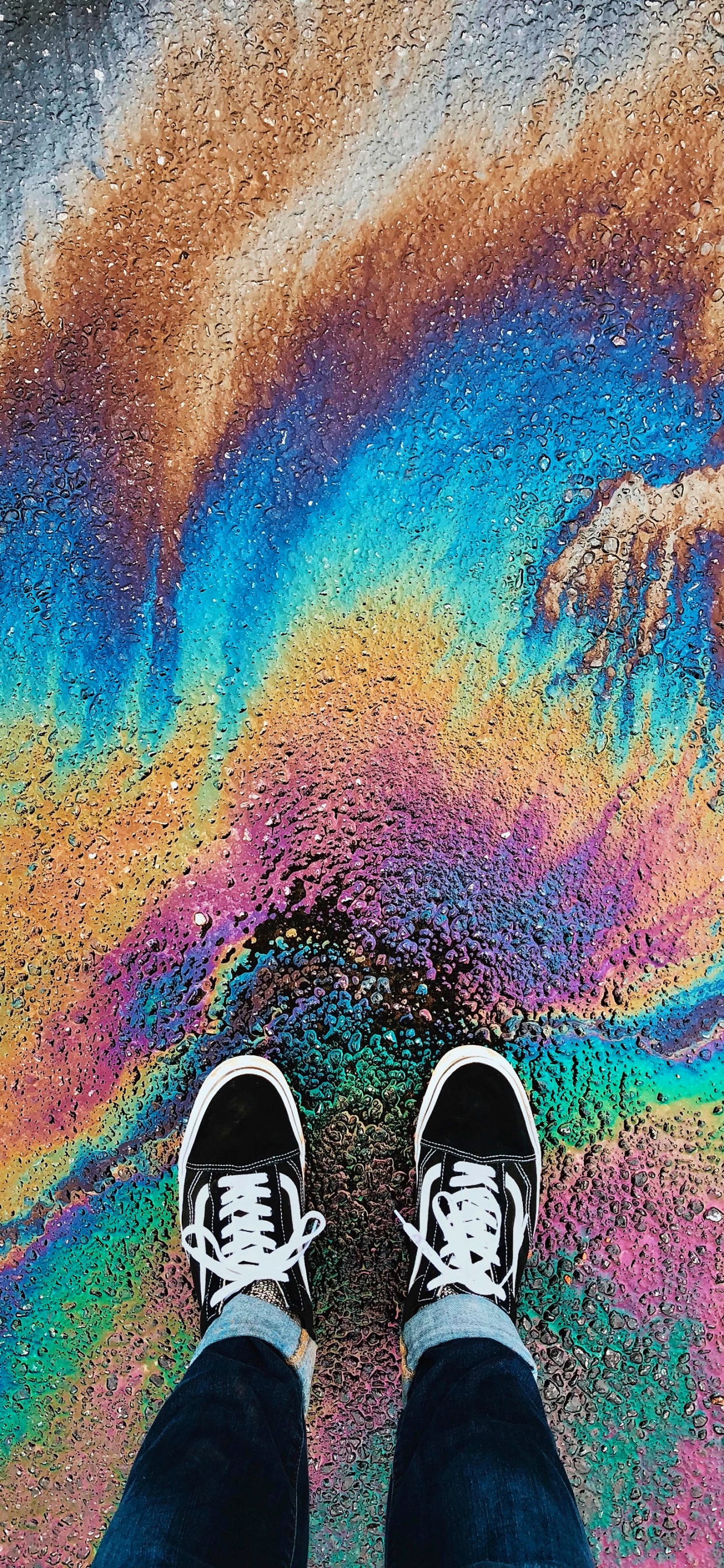 Обои обратно в школьные фургоны, рюкзак, школа, свет, зеленый в разрешении 1242x2688