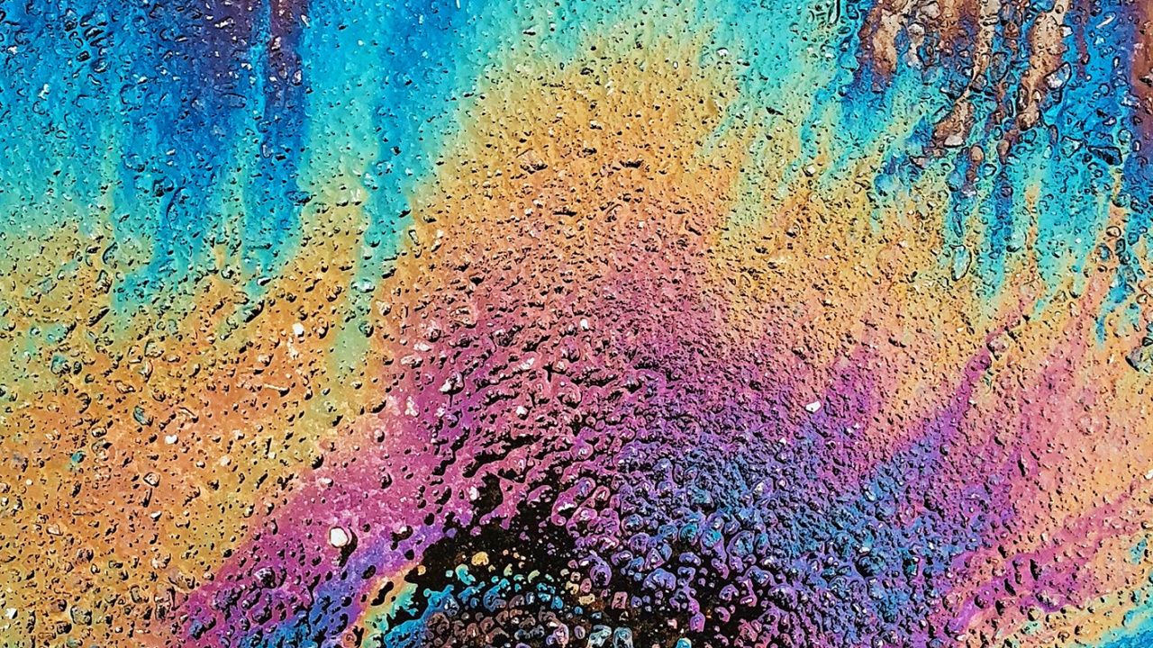 Обои обратно в школьные фургоны, рюкзак, школа, свет, зеленый в разрешении 1280x720