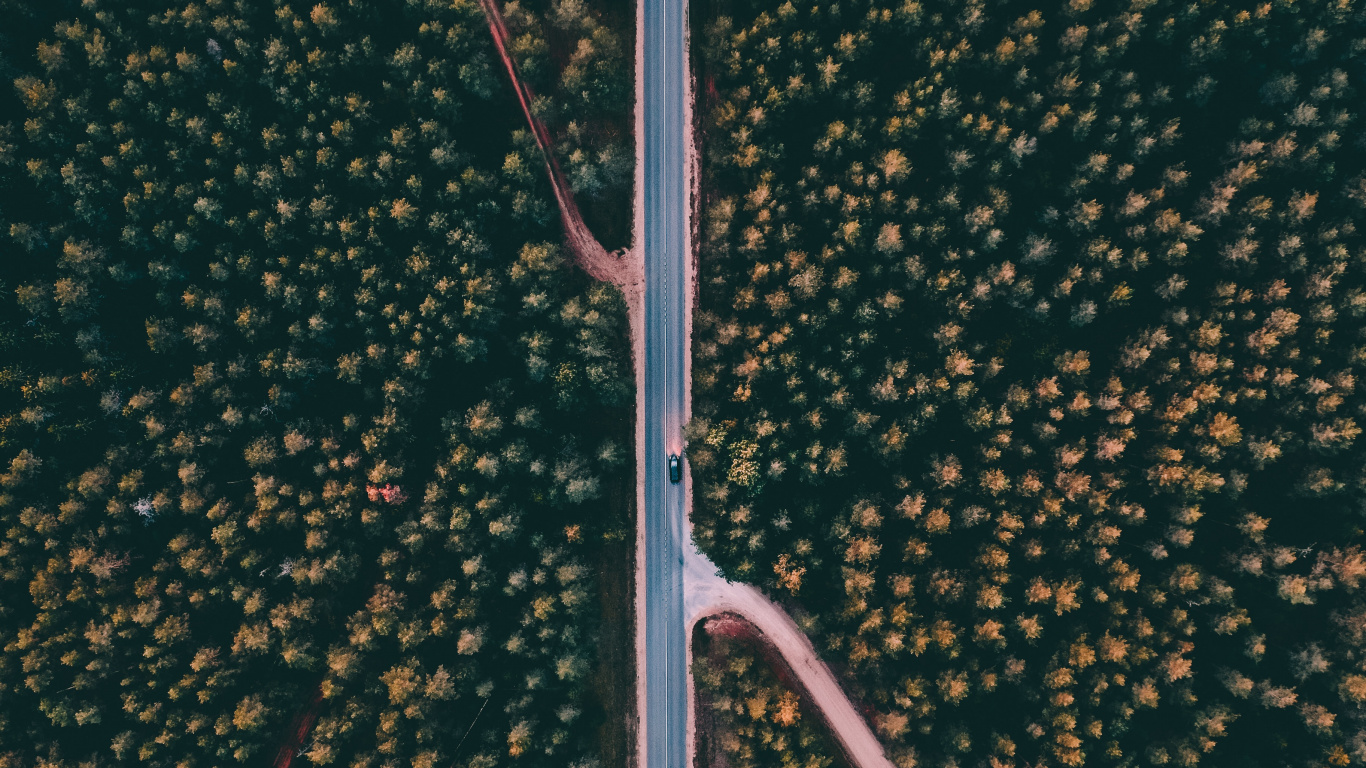 Обои уличный фонарь, дерево, осветительная арматура, растение, линия в разрешении 1366x768