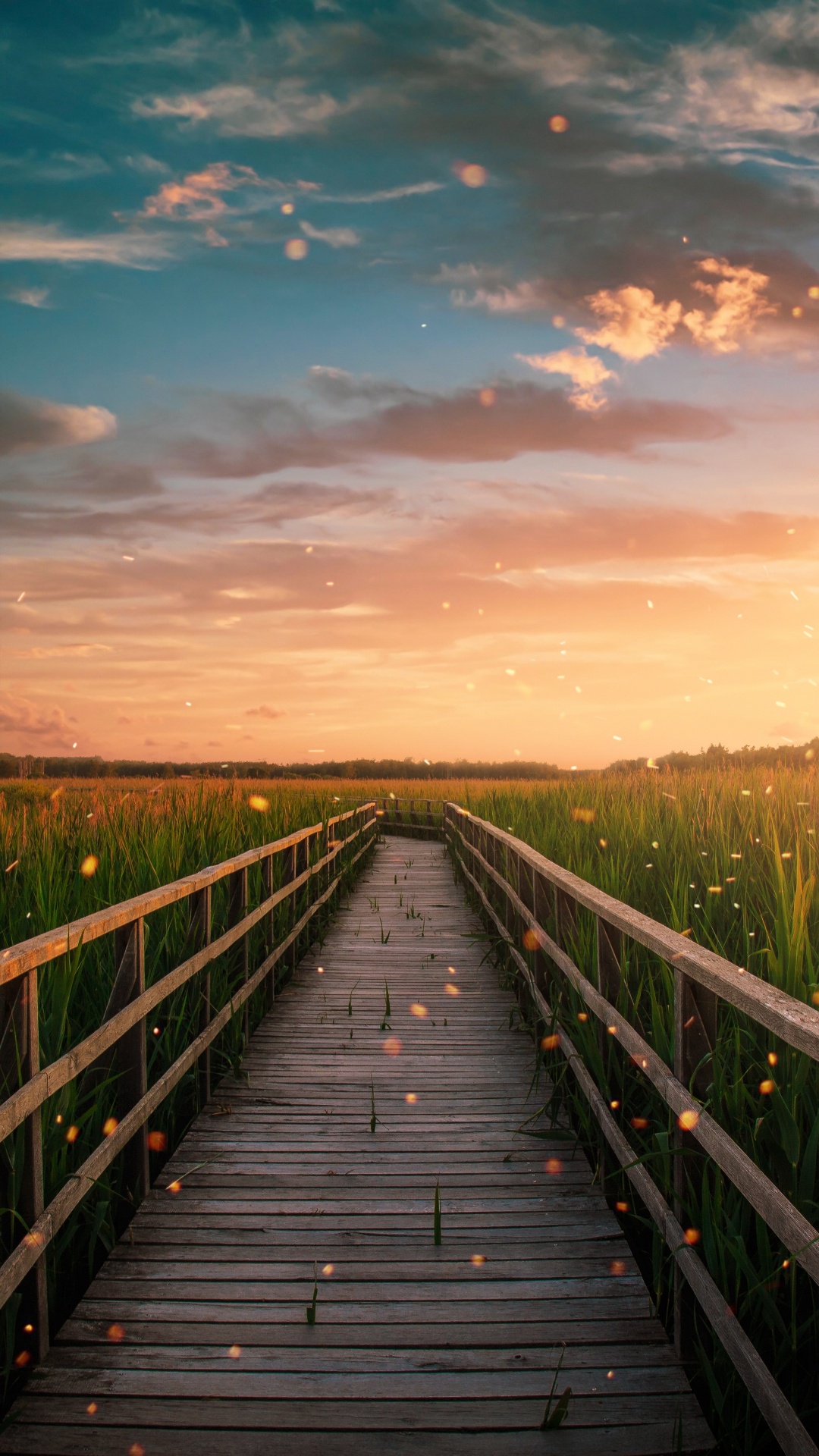 Обои облако, растение, послесвечение, природа, древесина в разрешении 1080x1920