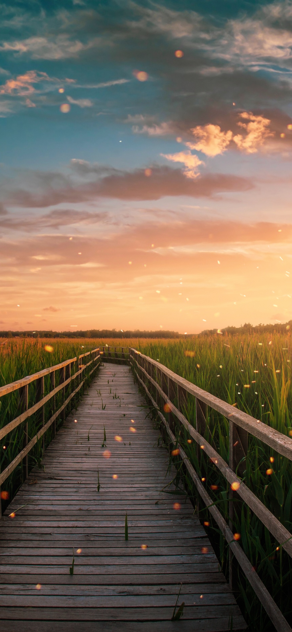 Обои облако, растение, послесвечение, природа, древесина в разрешении 1242x2688