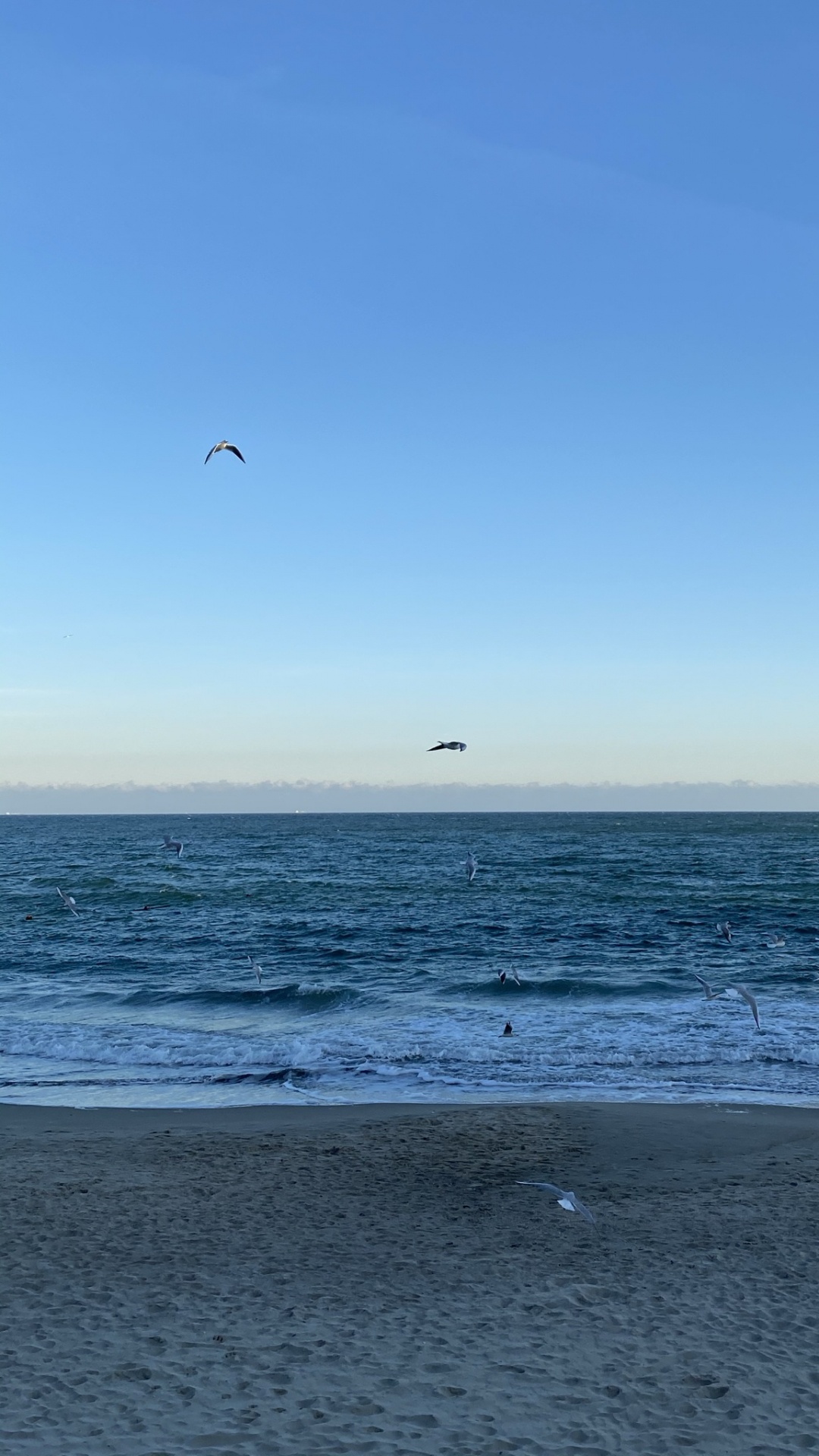 Обои море, Onoville Marina Park, Onoville, палаточный лагерь, водохранилище аллегей в разрешении 1080x1920
