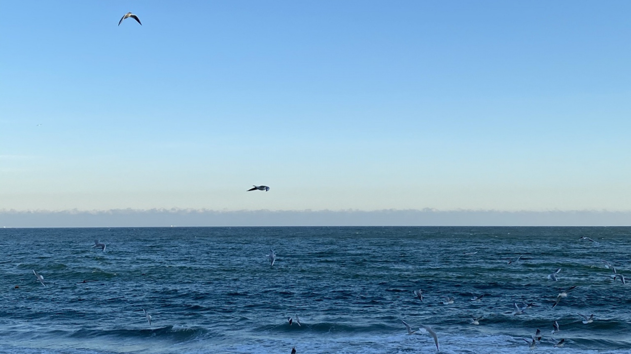 Обои море, Onoville Marina Park, Onoville, палаточный лагерь, водохранилище аллегей в разрешении 1280x720