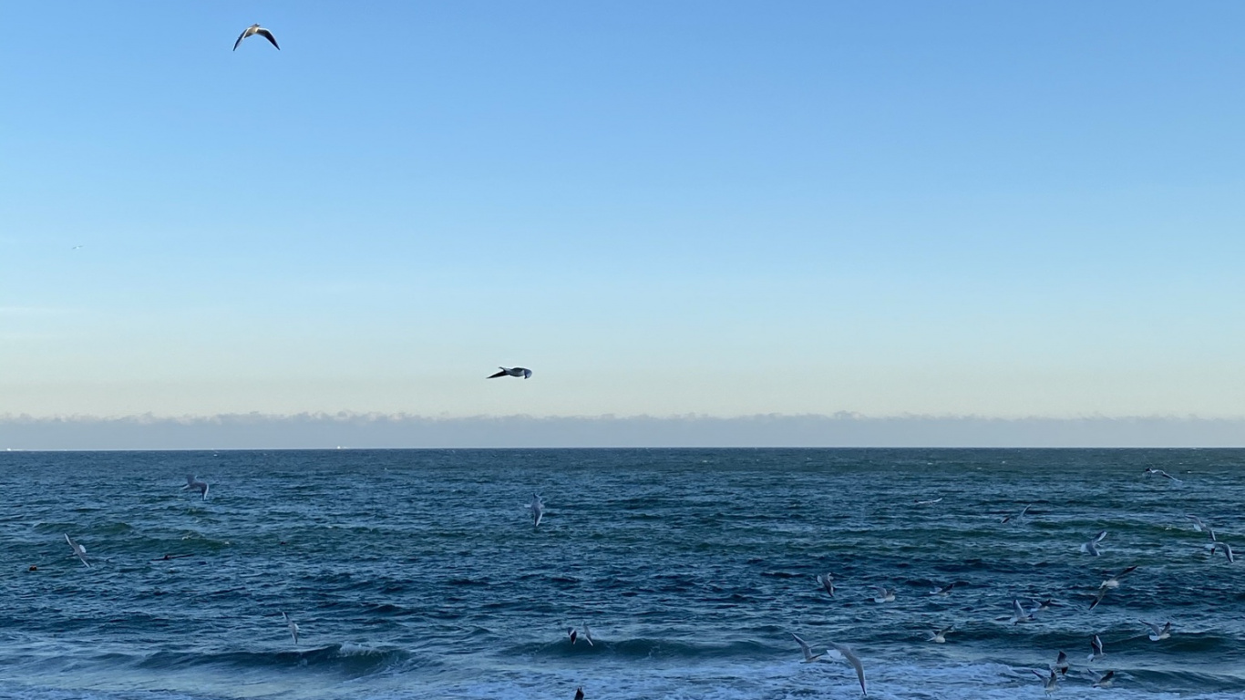 Обои море, Onoville Marina Park, Onoville, палаточный лагерь, водохранилище аллегей в разрешении 1366x768
