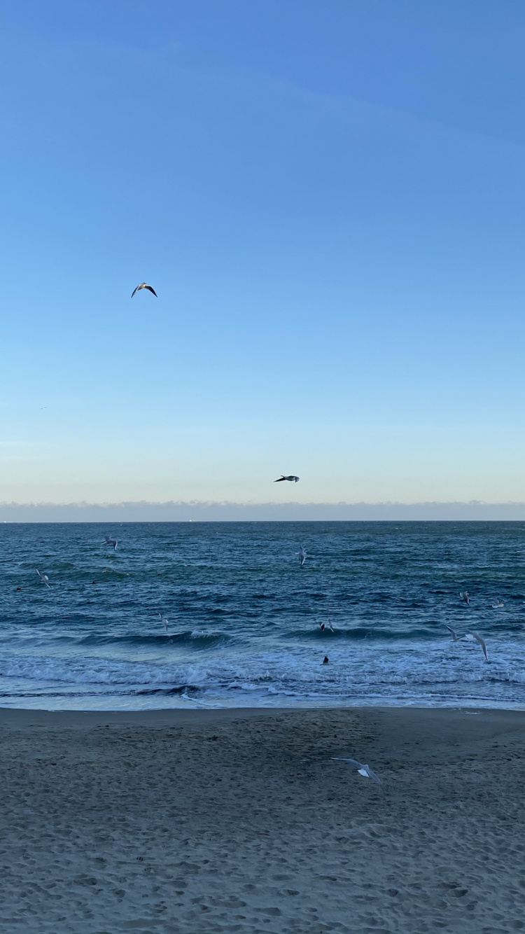 Обои море, Onoville Marina Park, Onoville, палаточный лагерь, водохранилище аллегей в разрешении 750x1334