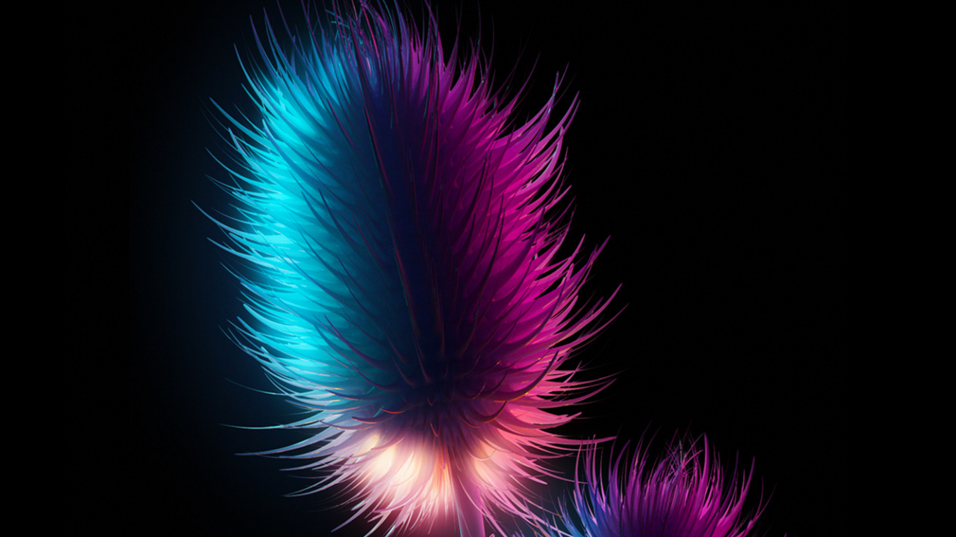 Обои пурпур, Фиолетовый, красочность, пурпурный цвет, темнота в разрешении 1366x768