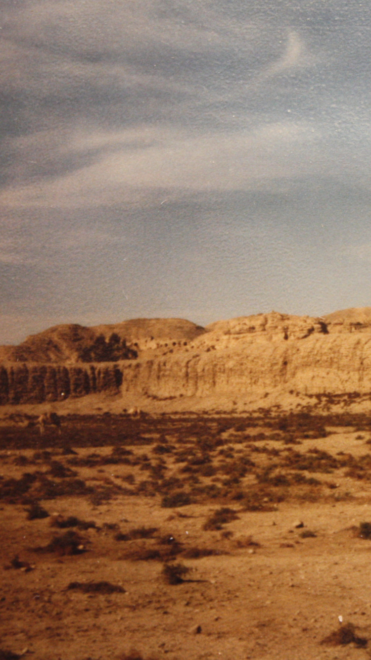 Обои экорегион, бесплодные земли, Вади, геология, степ в разрешении 750x1334