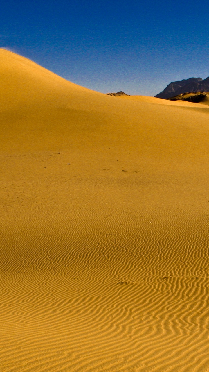 Обои эрг, пустыня, Дюна, песок, эолийские рельефы в разрешении 720x1280