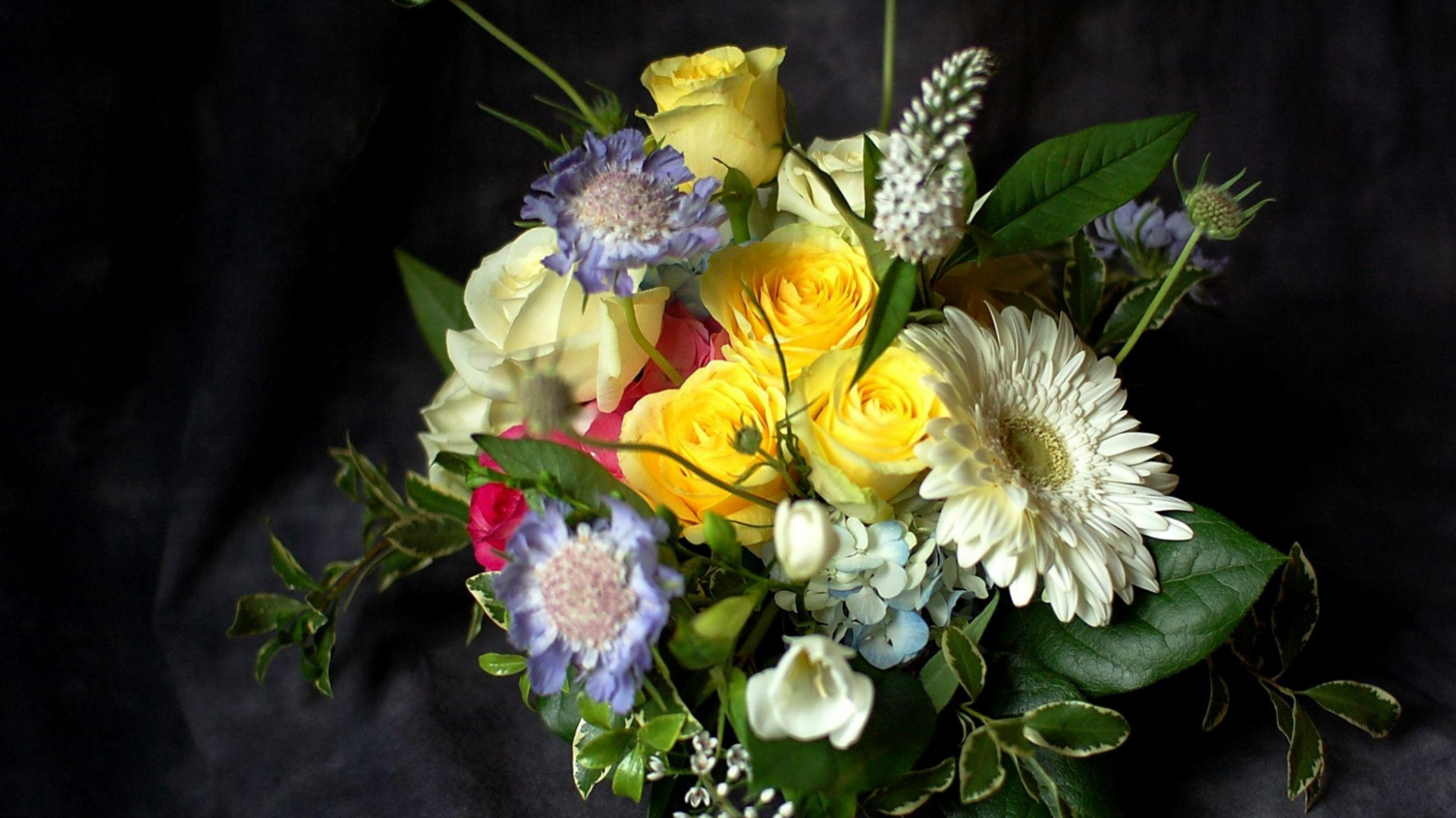 Обои цветочный букет, цветочный дизайн, трансвааль Дейзи, срезанные цветы, флористика в разрешении 1920x1080