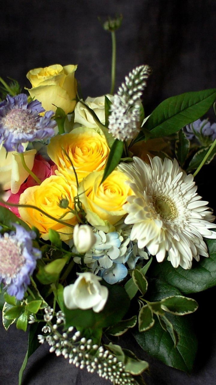 Обои цветочный букет, цветочный дизайн, трансвааль Дейзи, срезанные цветы, флористика в разрешении 720x1280