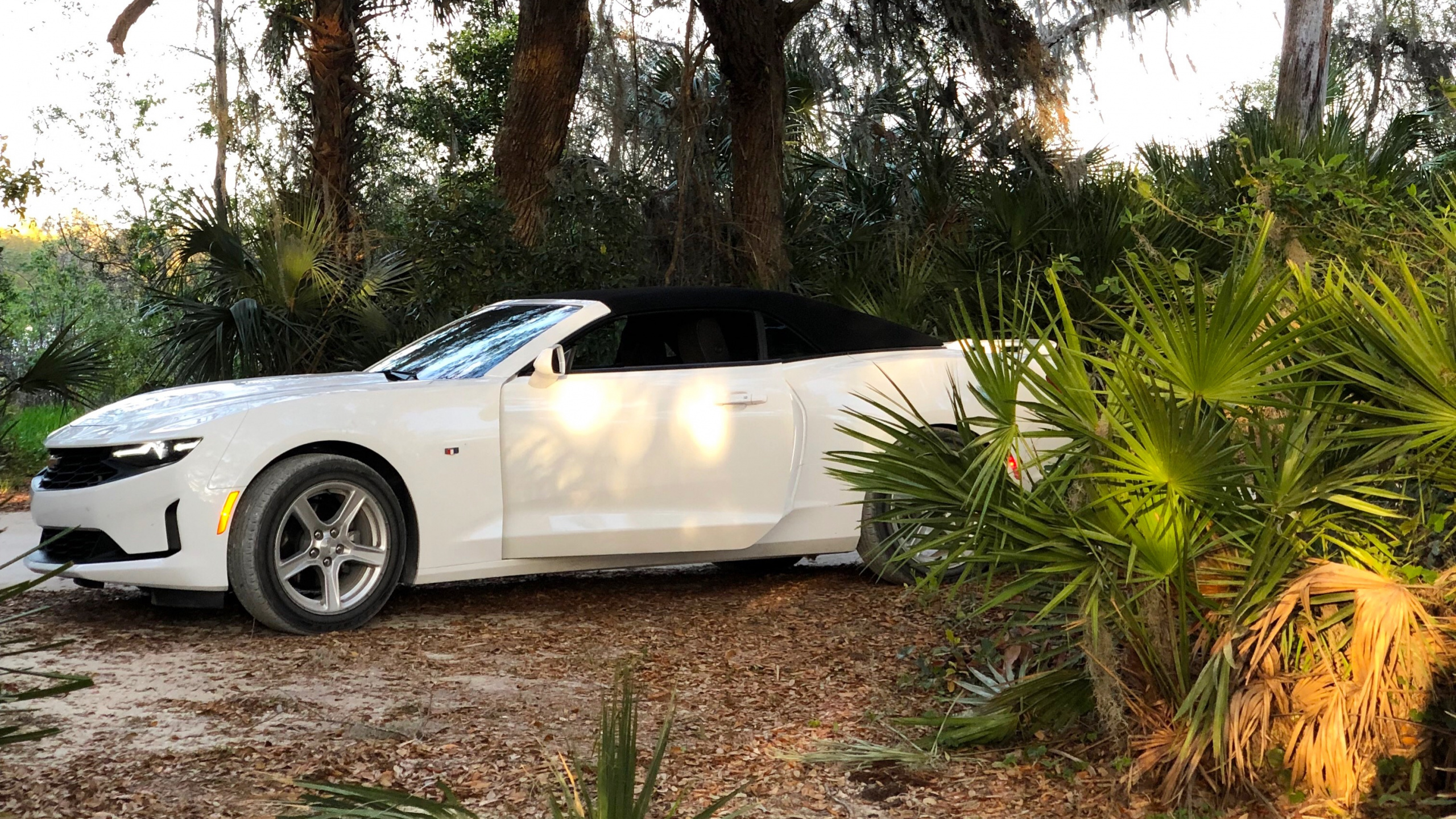 Обои Chevrolet camaro в лесу в разрешении 2560x1440