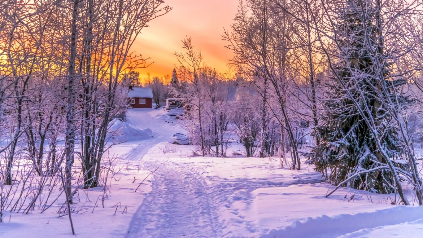 Обои зима, закат, снег, природа, дерево в разрешении 1366x768