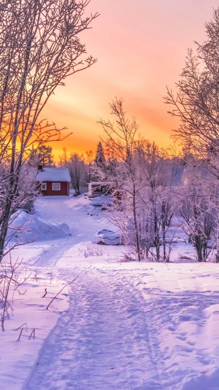 Обои зима, закат, снег, природа, дерево в разрешении 720x1280