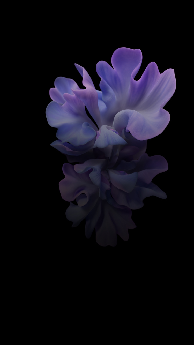 Обои Samsung Galaxy, Samsung, Samsung Galaxy Z Flip, смартфон, складной смартфон в разрешении 750x1334