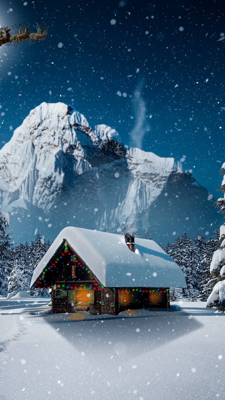 Обои снег, растение, атмосфера, мир, окно в разрешении 720x1280