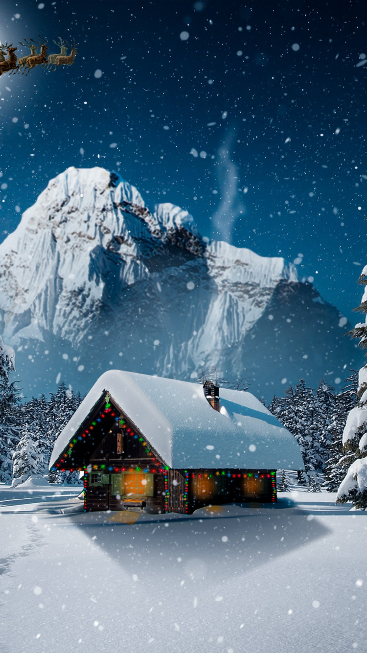 Обои снег, растение, атмосфера, мир, окно в разрешении 750x1334