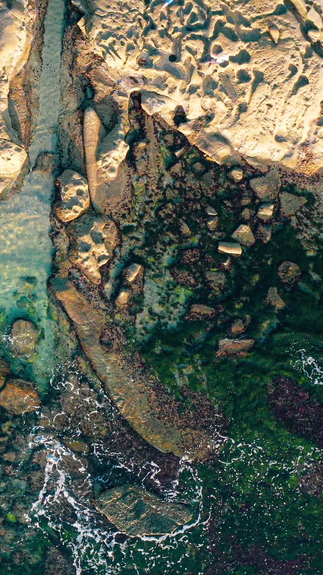 Обои коренная порода, камуфляж, водоем, древесина, водоток в разрешении 1080x1920