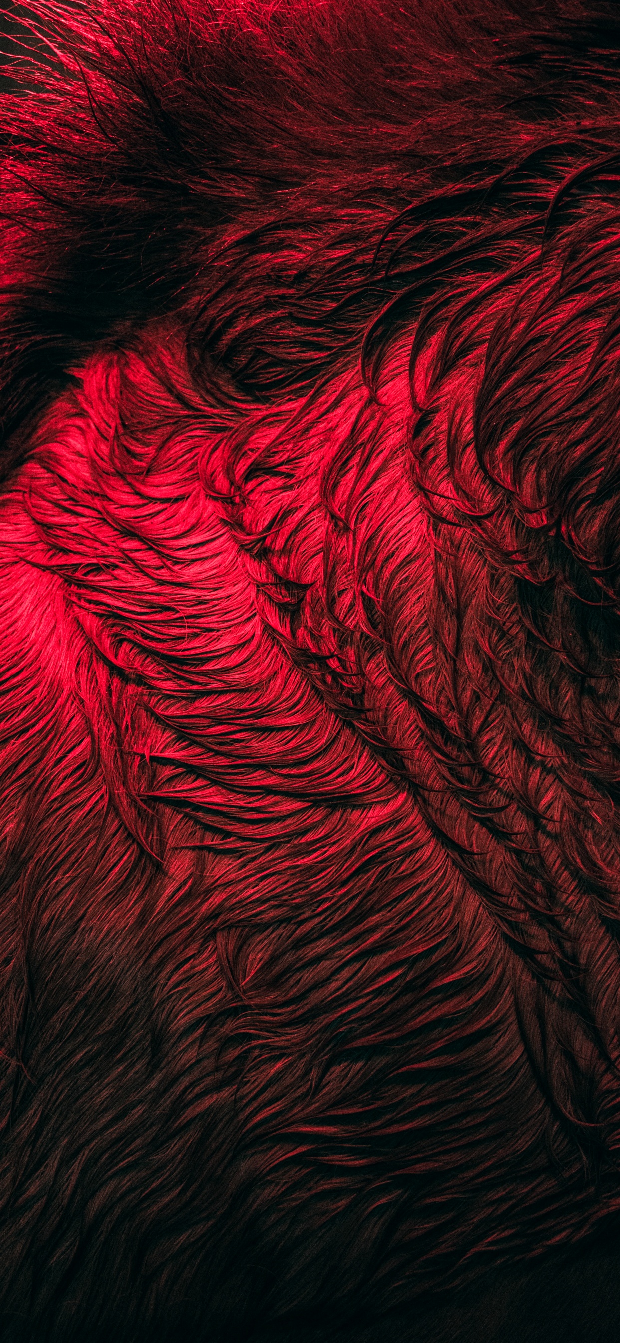 Обои крупный план, узор, фрактальное искусство, вода, арт в разрешении 1242x2688