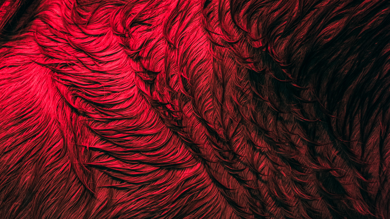 Обои крупный план, узор, фрактальное искусство, вода, арт в разрешении 1366x768