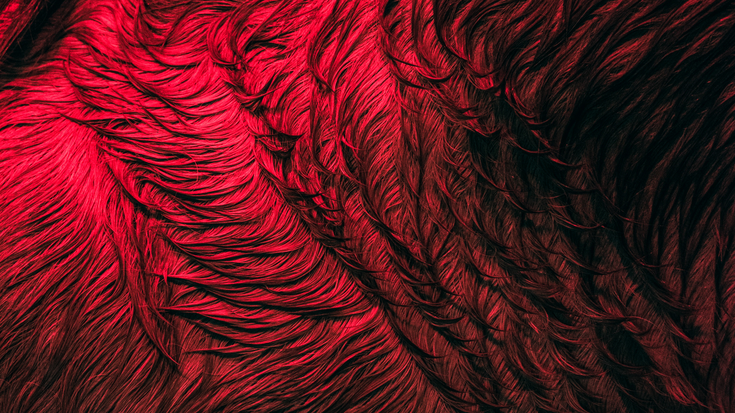 Обои крупный план, узор, фрактальное искусство, вода, арт в разрешении 2560x1440