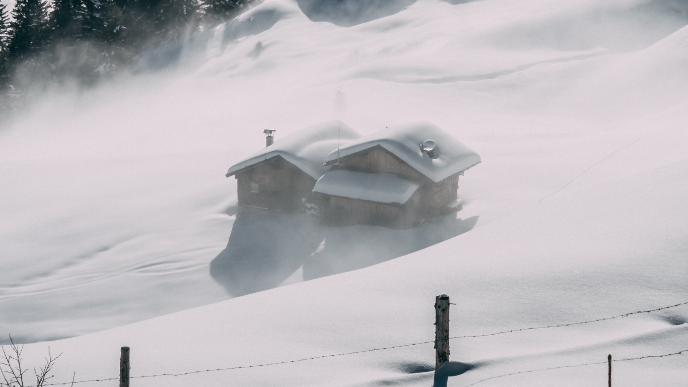 Обои снег, атмосфера, облако, растение, дерево в разрешении 1366x768