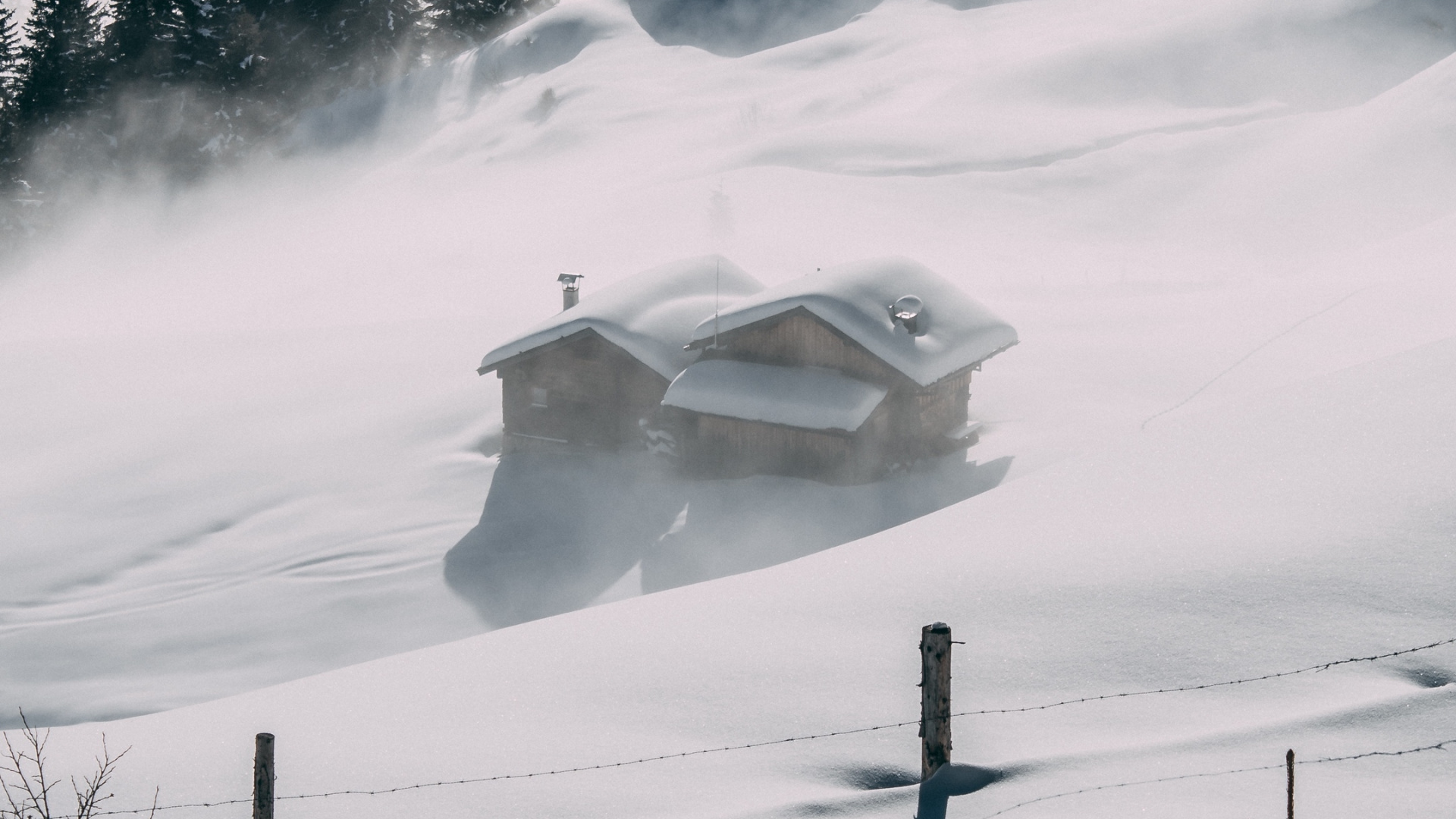 Обои снег, атмосфера, облако, растение, дерево в разрешении 1920x1080