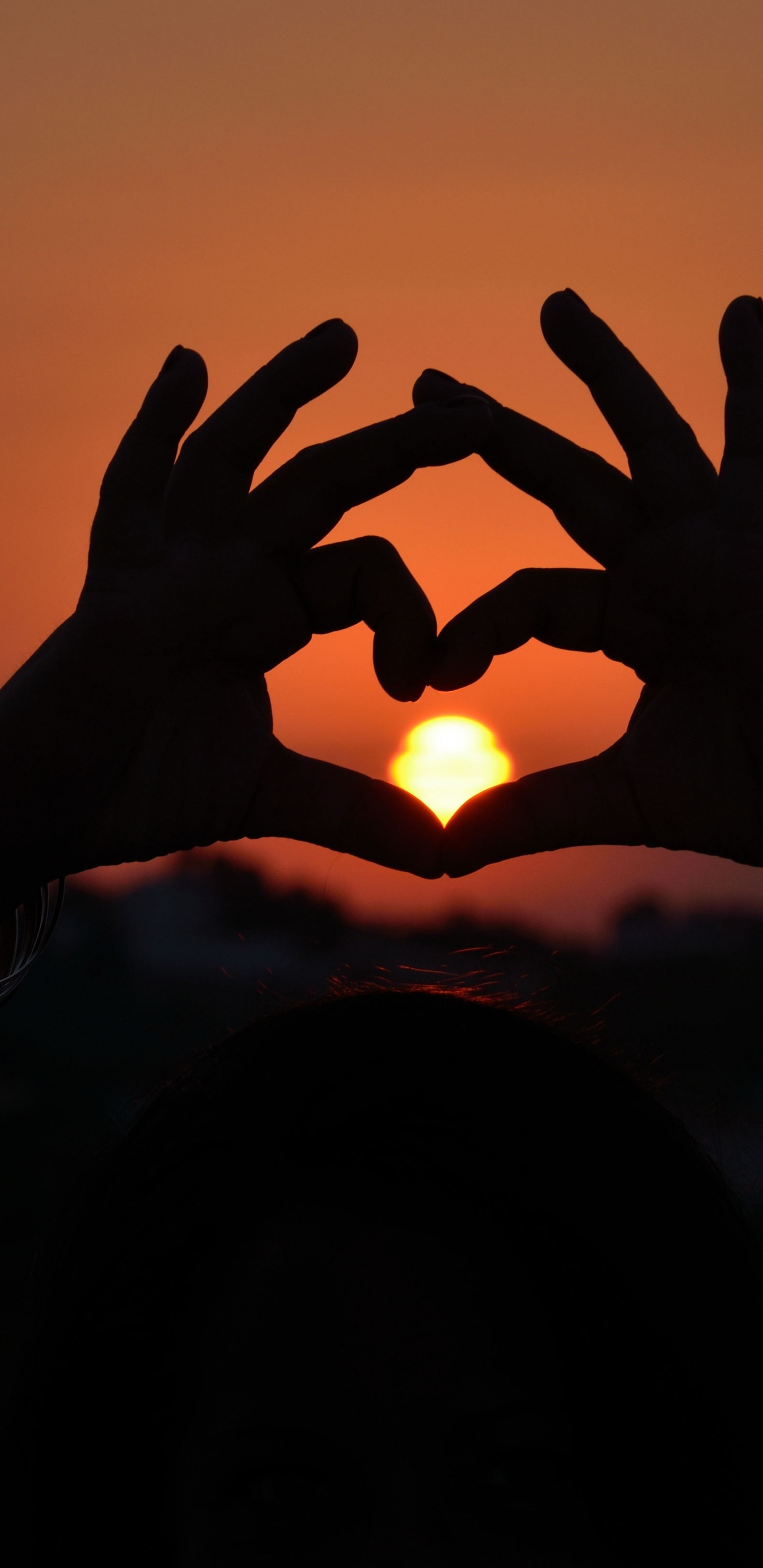 Обои закат, сердце, свет, Апельсин, солнце в разрешении 1440x2960