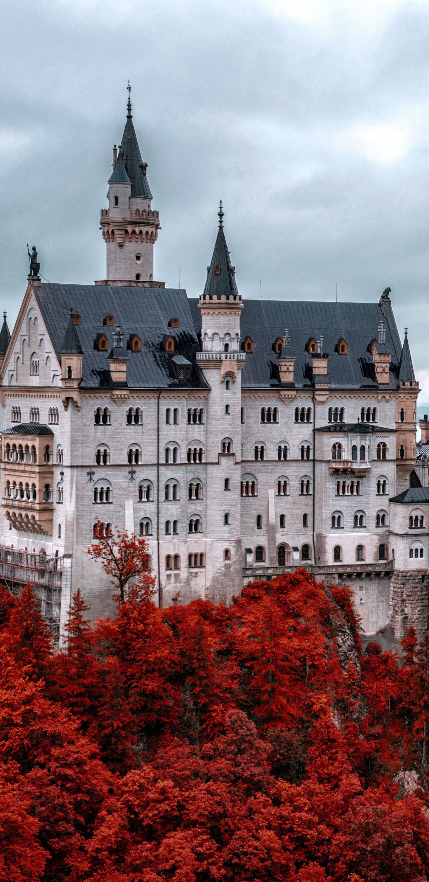 Обои замок Нойшванштайн, замок, ориентир, здание, архитектура в разрешении 1440x2960