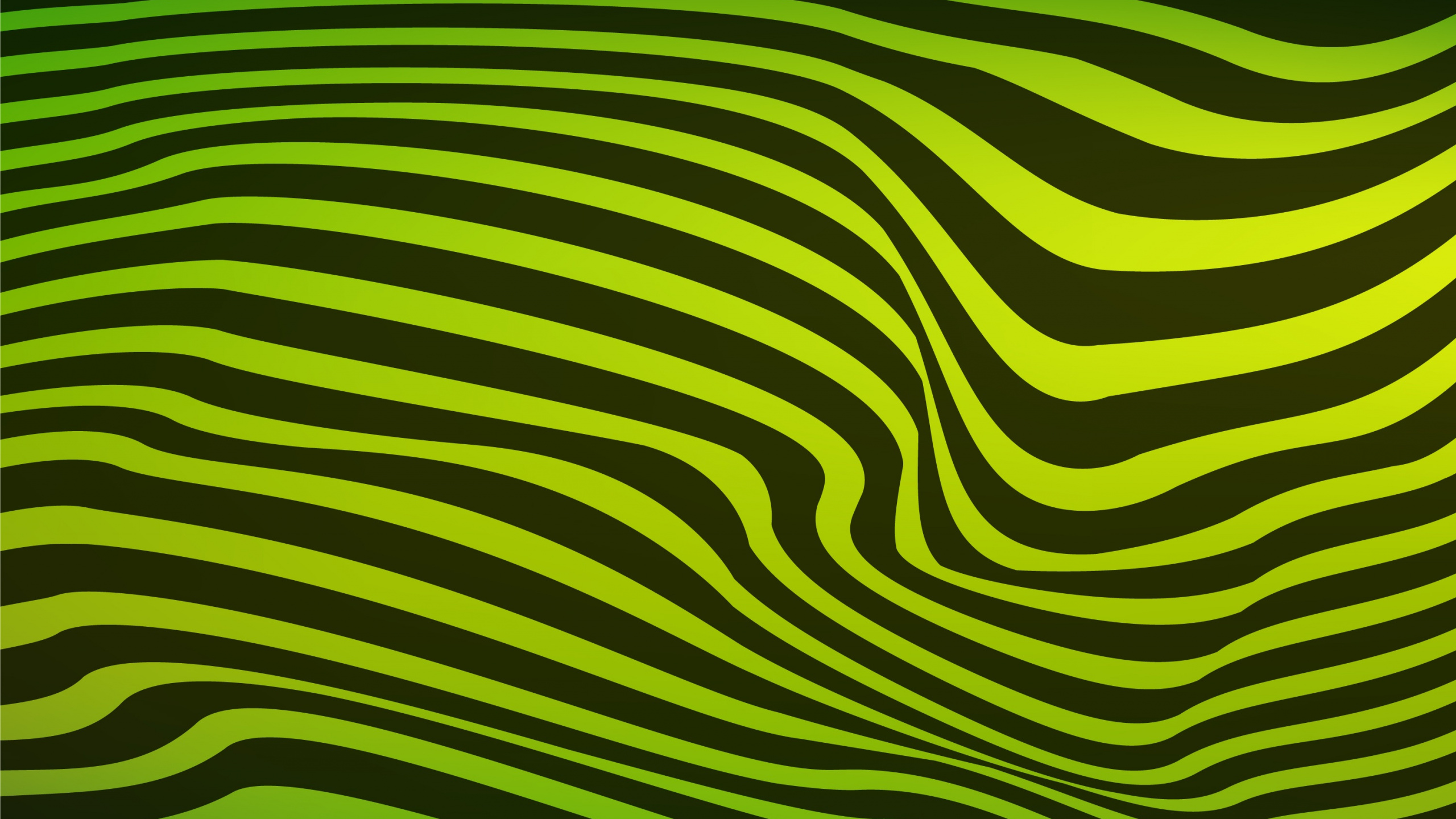 Обои зеленый, узор, желтый, линия, трава в разрешении 2560x1440