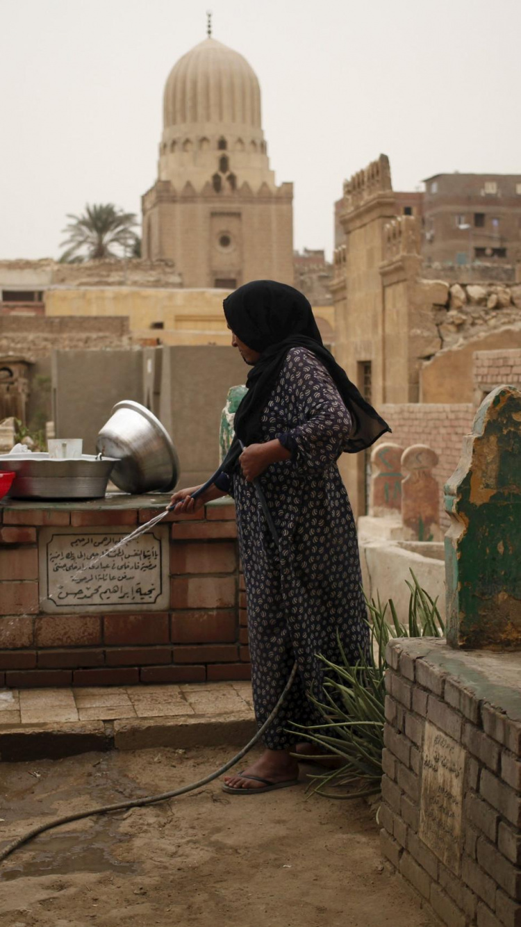 Обои город, смерть, историческое место, древняя история, туризм в разрешении 750x1334