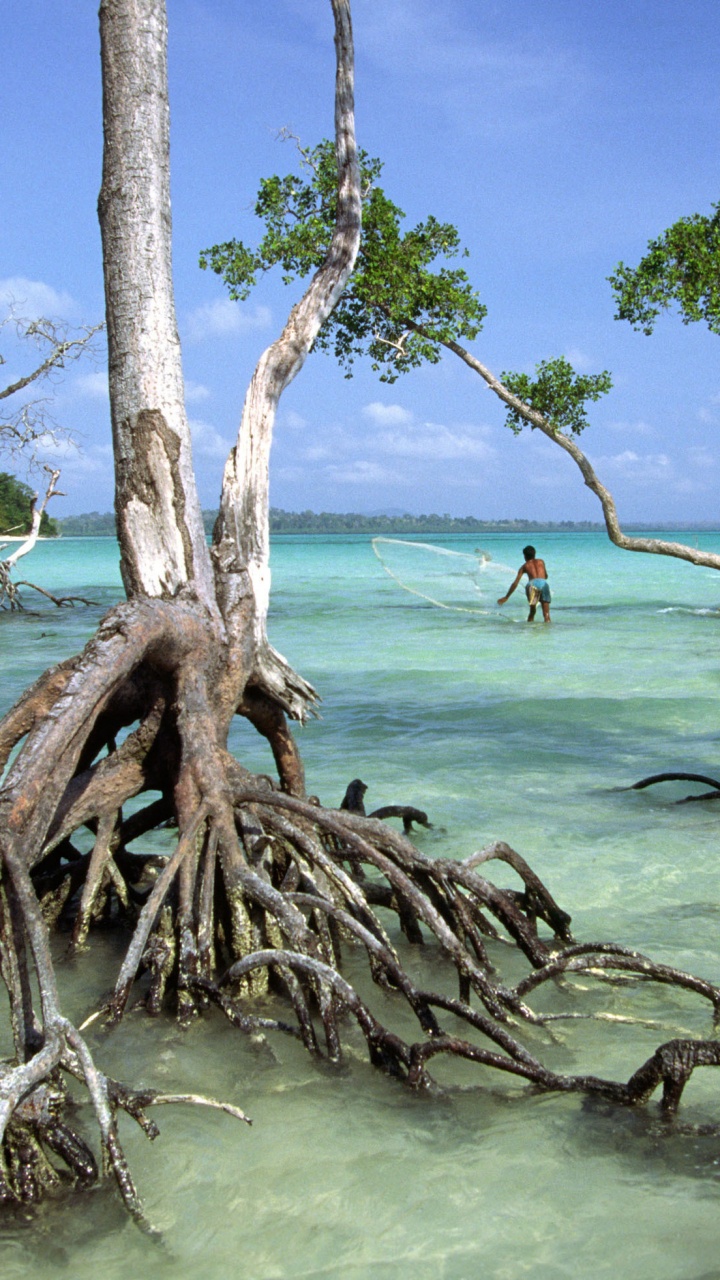 Обои Андаманские острова Индия, порт Блэр, Андаманские острова, Никобарские острова, Остров в разрешении 720x1280