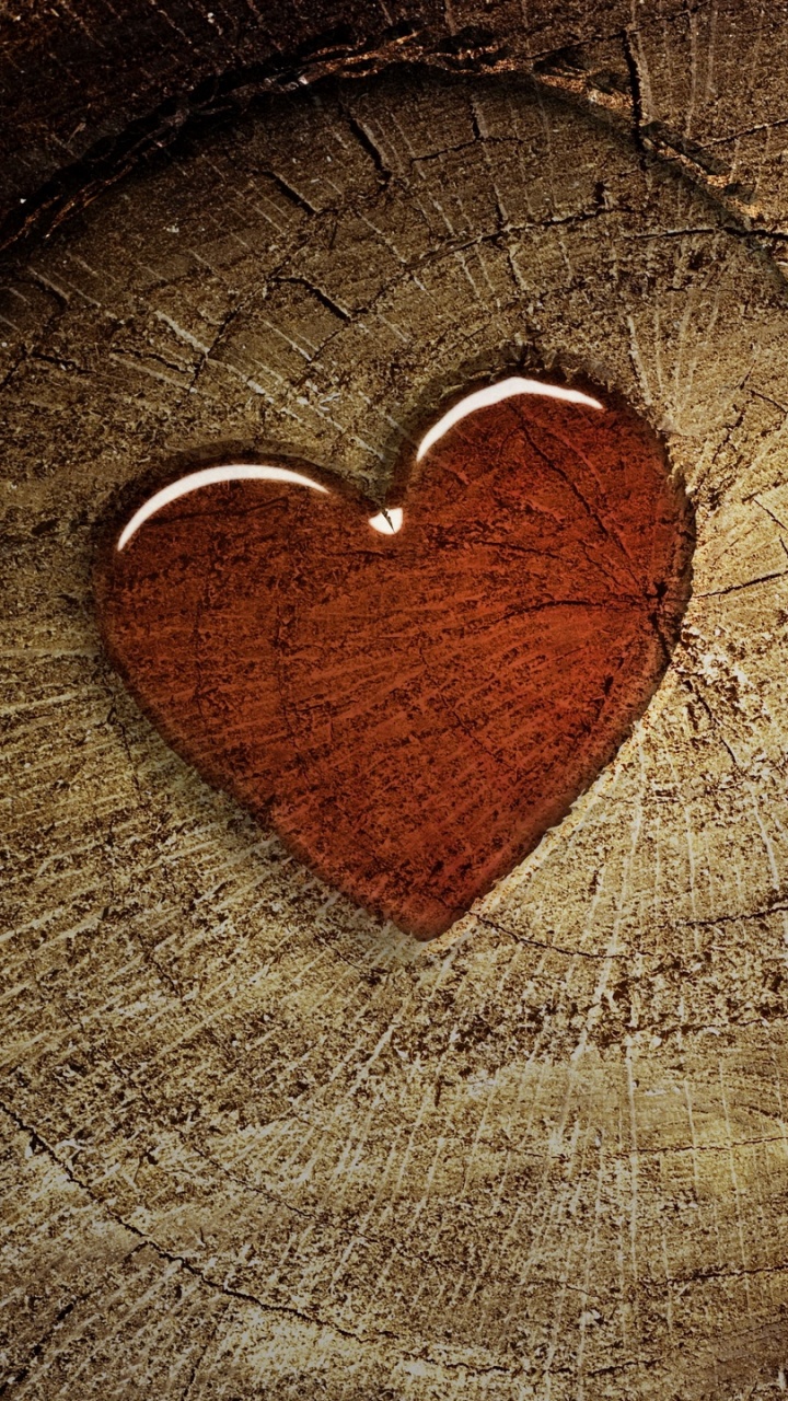 Обои сердце, древесина, любовь, орган, дерево в разрешении 720x1280