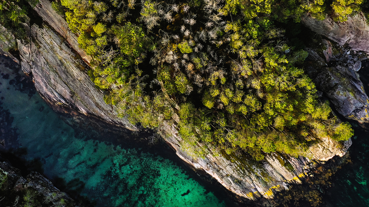 Обои нокиа с100, Nokia, смартфон, нокиа с2-00, ткл 30 z в разрешении 1280x720