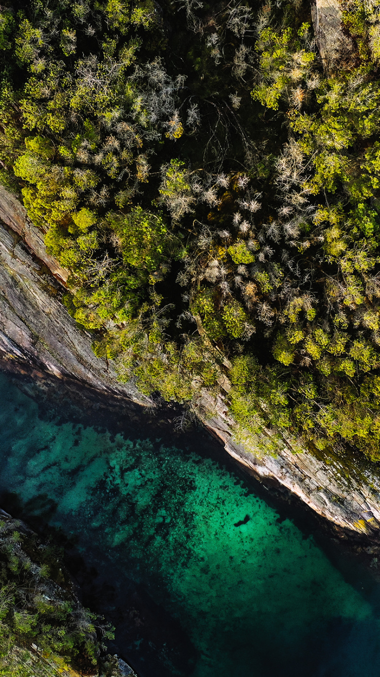 Обои нокиа с100, Nokia, смартфон, нокиа с2-00, ткл 30 z в разрешении 750x1334