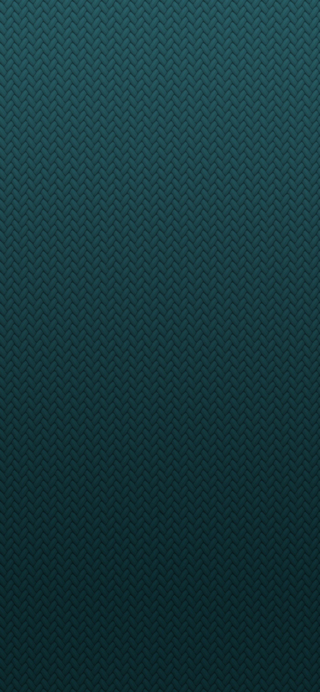 Обои The Braided Solo Loop – Rainforest в разрешении 1242x2688