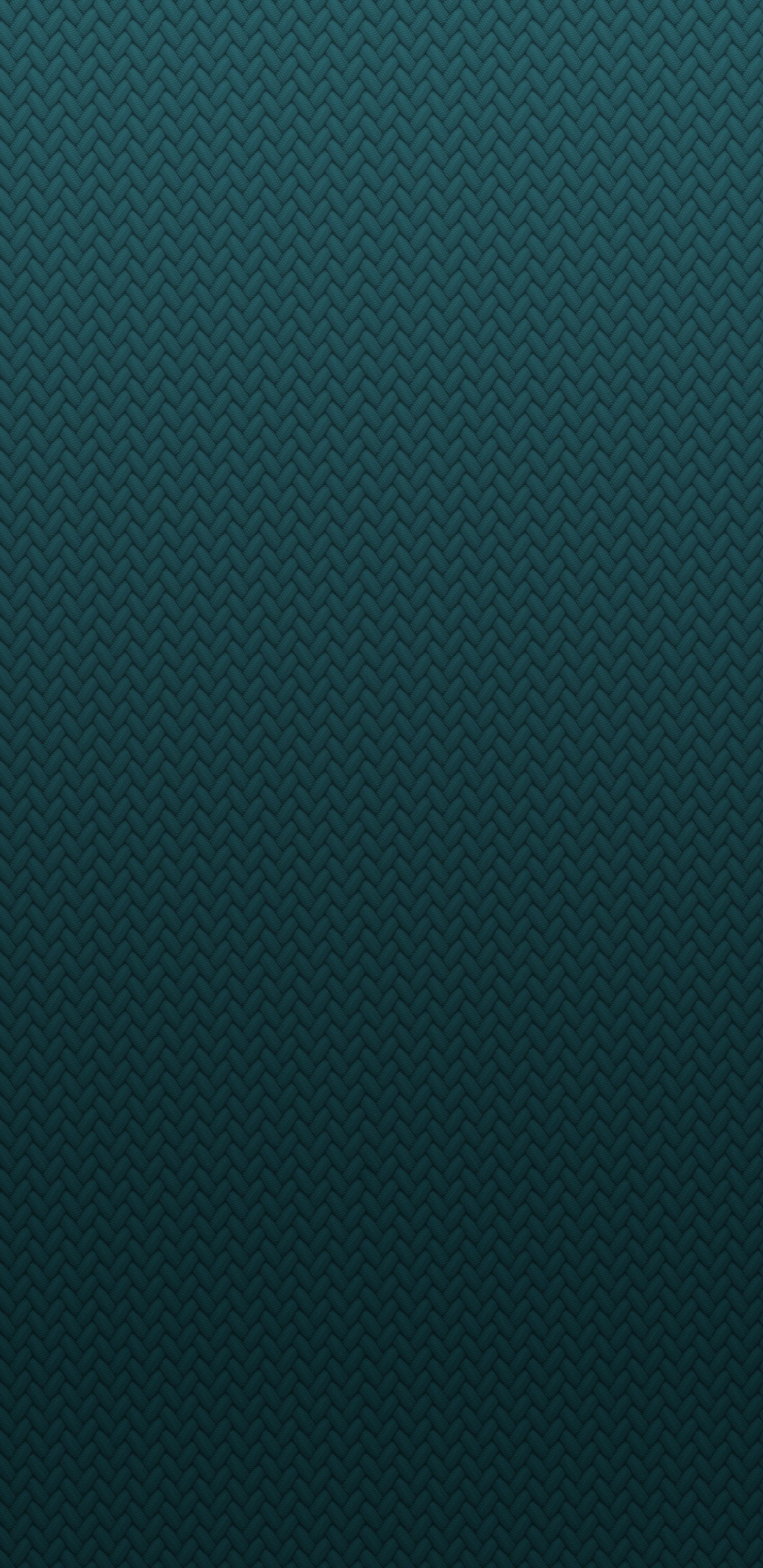 Обои The Braided Solo Loop – Rainforest в разрешении 1440x2960