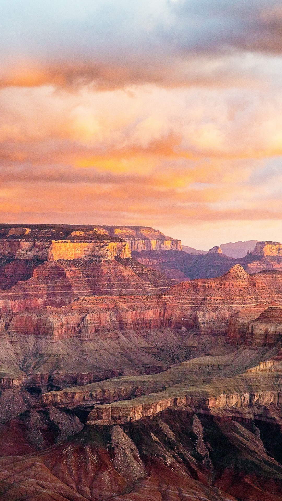 Обои Таннер след, Светлый Ангел Trail, парк, национальный парк, тропа в разрешении 1080x1920
