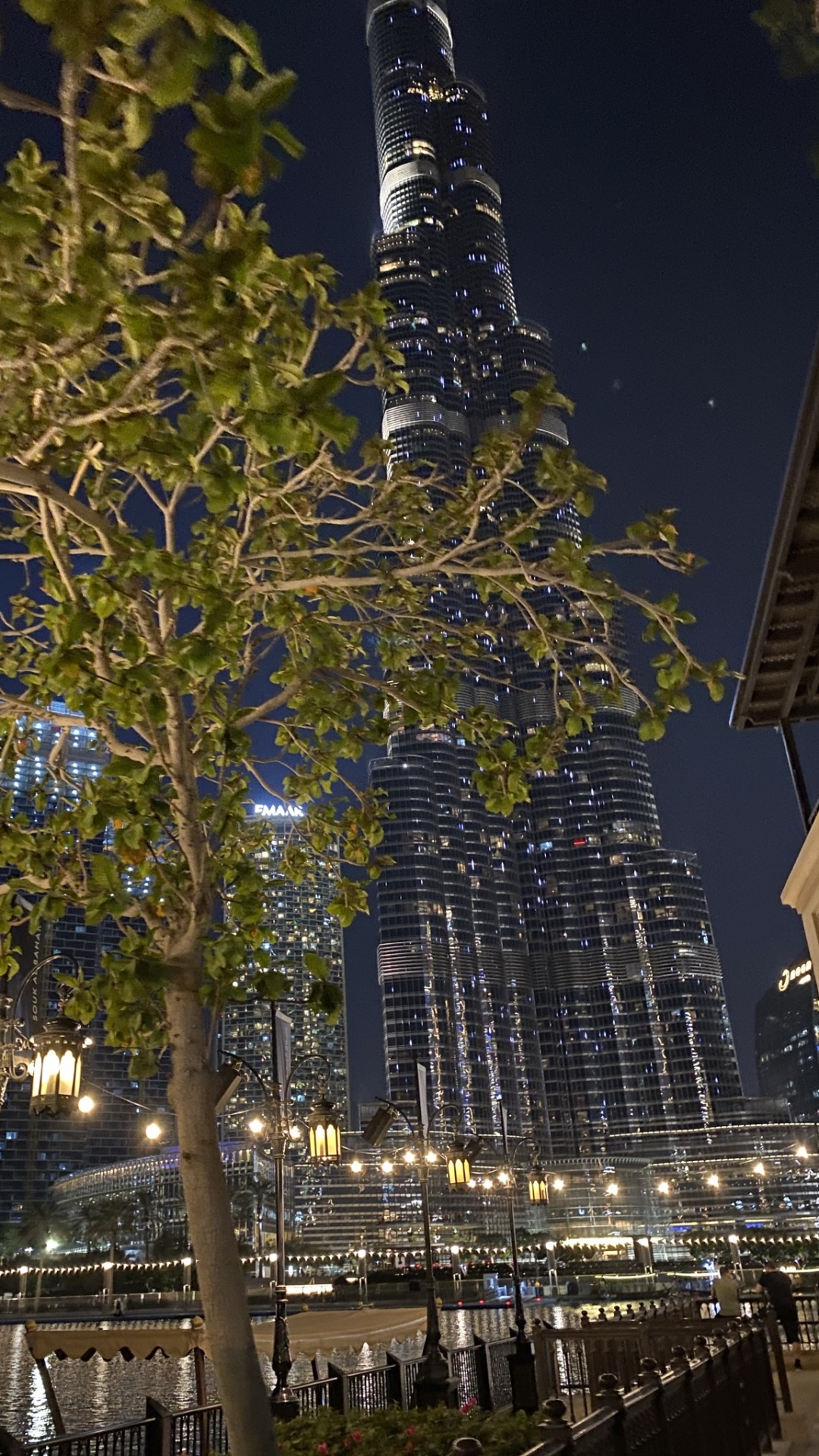 Обои Дубай, Бурдж Халифа, дерево, архитектура, городской район в разрешении 1080x1920