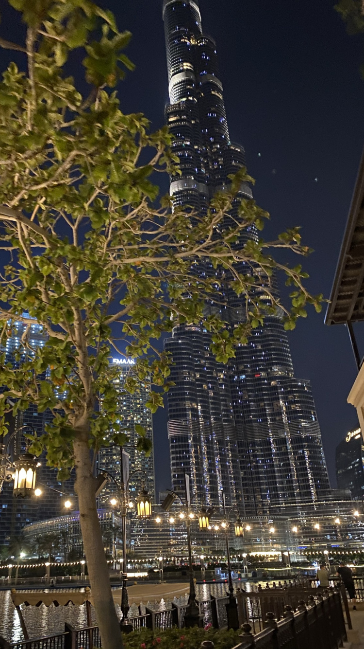Обои Дубай, Бурдж Халифа, дерево, архитектура, городской район в разрешении 750x1334